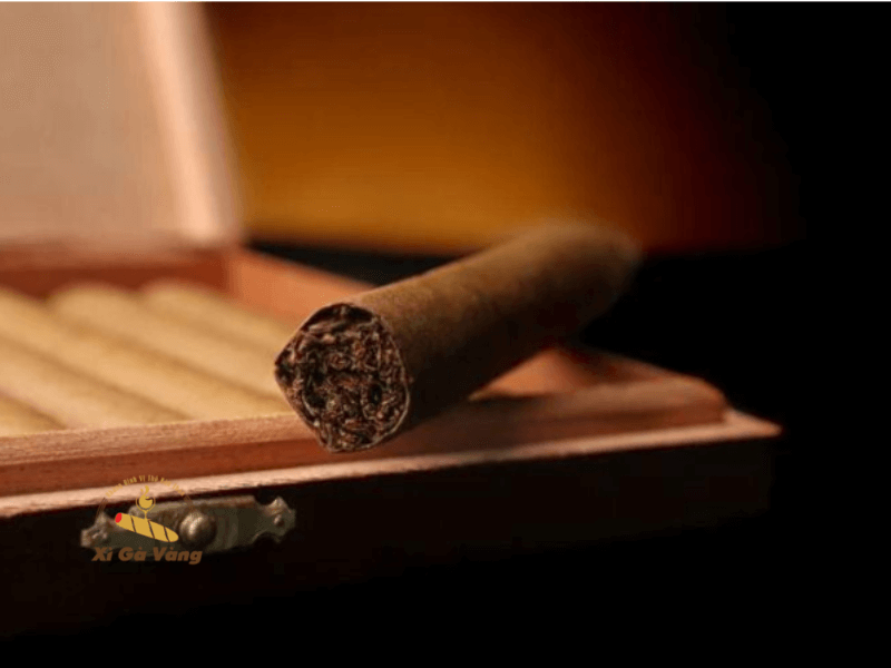 Điều chỉnh độ ẩm cho xì gà theo từng loại khí hậu